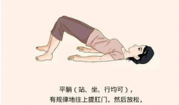 提肛运动视频教程