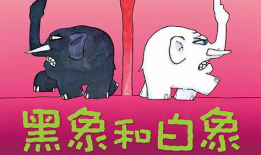 白象视频,探寻传统与现代交融的美食之旅